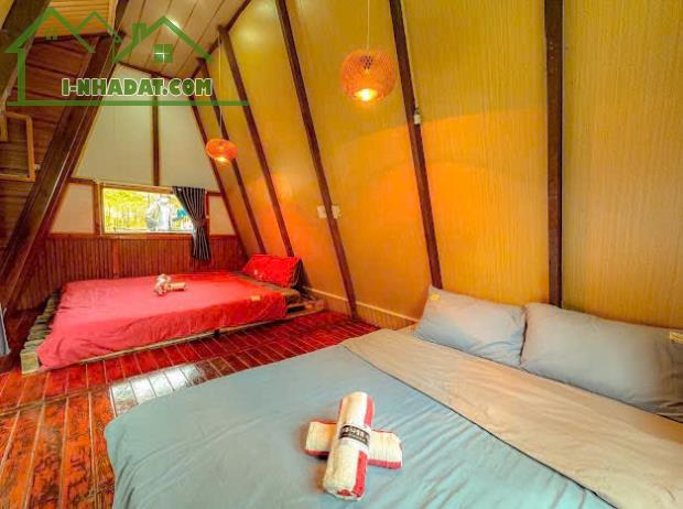 CHO THUÊ HOMESTAY ĐƯỜNG Ô TÔ THÁNH MẪU PHƯỜNG 7 ĐÀ LẠT, 6PN FULL NỘI THẤT GPKD PCCC, 17TR - 1