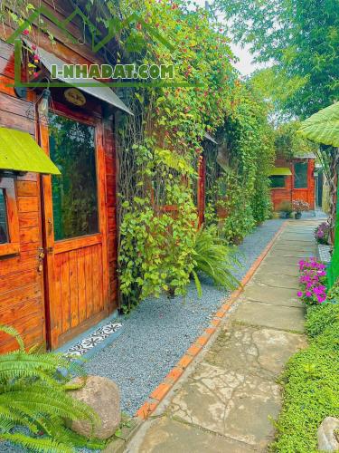 CHO THUÊ HOMESTAY ĐƯỜNG Ô TÔ THÁNH MẪU PHƯỜNG 7 ĐÀ LẠT, 6PN FULL NỘI THẤT GPKD PCCC, 17TR - 3