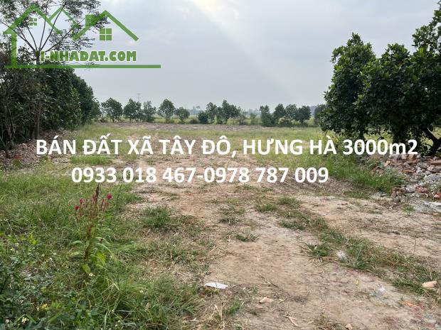 Bán đất thị trấn hưng hà, thái bình 500m2-0933 018 467-0978 787 009 - 1