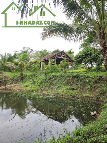 View suối đẹp mê ly tại Đăk Lak. 68m suối giá yêu thương - 3