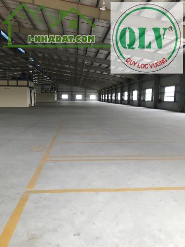 Cho thuê nhà xưởng 10.080m2 tại KCN Thịnh Phát, Bến Lức, Long An - 1