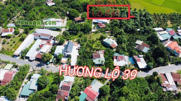 Bán đất Diên Lâm giá rẻ sát bên Hương Lộ 39 - cách chợ 900m - 4