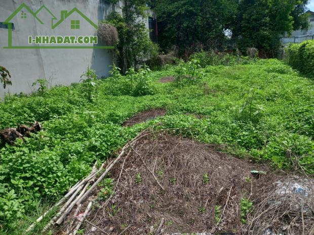 Đất Tân Hiệp 14 HM, 234m2, 12x22m chỉ 2.x tỷ - 3