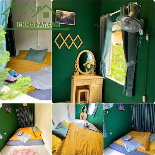 CHO THUÊ HOMESTAY SÂN VƯỜN ĐƯỜNG PHAN CHU TRINH PHƯỜNG 9 ĐÀ LẠT, 10PN, 20TR - 2