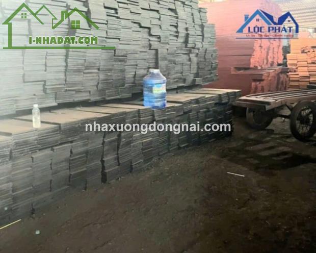 Bán đất nhà xưởng gần 1ha SKC tại Đồng Xoài Bình Phước giá chỉ 22 tỷ - 3