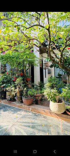 BÁN ĐẤT TẶNG NHÀ PHỐ LIỄU GIAI, BA ĐÌNH- DT 90M, MẶT TIỀN 6,5M-KINH DOANH-VĂN PHÒNG - 1