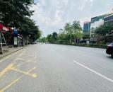 ĐẤT MẶT PHỐ VÕ CHÍ CÔNG, CẦU GIẤY-VỈA HÈ-KINH DOANH-Ô TÔ:115M, MT 10M, GIÁ 69 TỶ.