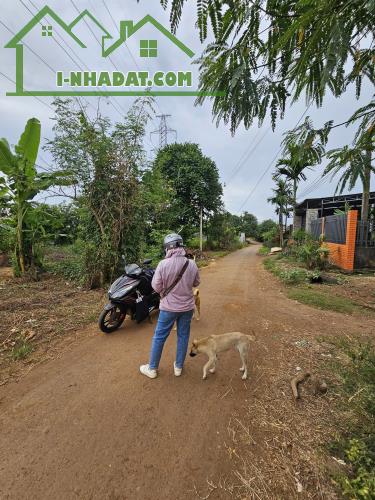 Bán đất thuộc Buôn Niêng, Buôn đôn, Đắk Lắk - 1