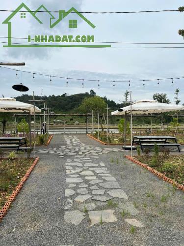 Bán đất Thương Mại Dịch Vụ tại ấp Bàu Chim, Xã Phú Xuân, Tân Phú Đồng Nai - 5