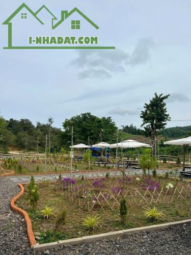 Bán đất Thương Mại Dịch Vụ tại ấp Bàu Chim, Xã Phú Xuân, Tân Phú Đồng Nai - 2