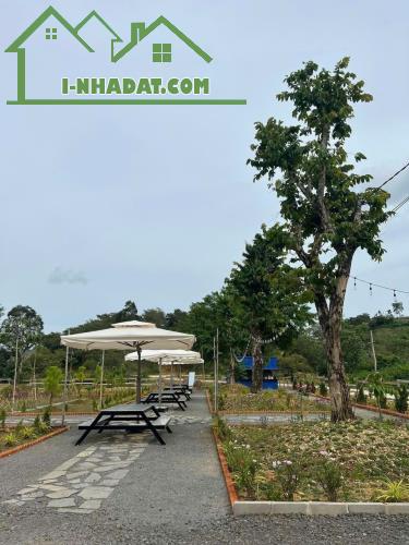 Bán đất Thương Mại Dịch Vụ tại ấp Bàu Chim, Xã Phú Xuân, Tân Phú Đồng Nai - 1