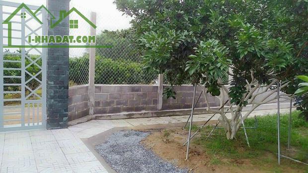 Bán vườn bưởi góc 2 mặt tiền, Bình Lợi, Vĩnh Cửu, Đồng Nai, 5000m2, giá 13 tỷ. - 4