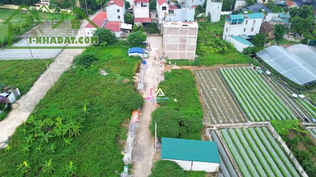 Bán đất đấu giá xã Vân Nội Đông Anh- khu X5 thôn Đông Tây - 3