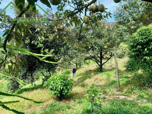 Bình dương em đang có mảnh vườn hơn 1000m2 ngang 10m giá có 800 triệu