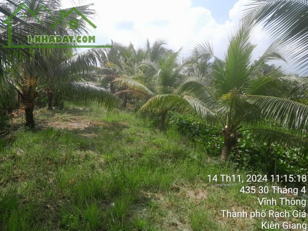 Đất view sông phường Vĩnh Thông 11669m2 chỉ chỉ 15 tỷ giá siêu tốt - 2