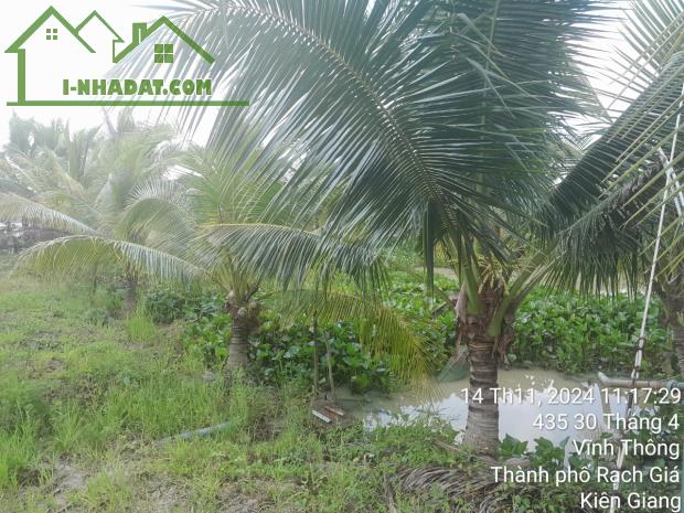 Đất view sông phường Vĩnh Thông 11669m2 chỉ chỉ 15 tỷ giá siêu tốt - 3