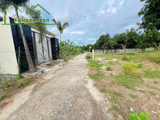 Bán đất Suối Tiên giá rẻ full thổ cư đường thông gần Hương Lộ 39 - 2
