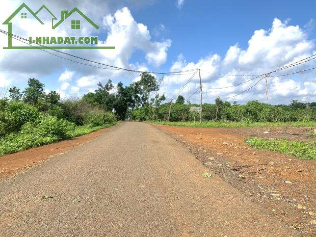 BÁN ĐẤT 1 000M2 MẶT TIỀN NHỰA GIÁ NGỘP TRIỆU NGAY SÁT KCN VÀ CHỢ