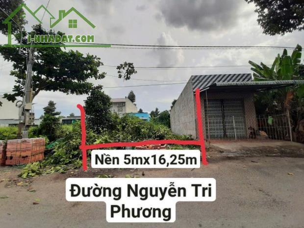 Bán 81.2m2 Nền Siêu Đẹp Cho Nhà Đầu Tư Tại Mặt Tiền Đường Nguyễn Tri Phương, Thị Trấn Mỹ - 4