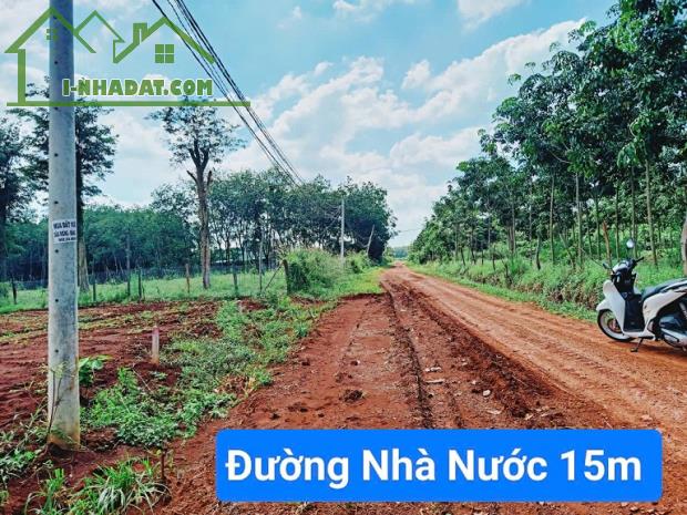 CHÍNH CHỦ BÁN ĐẤT TẠI LỘC QUANG - LỘC NINH - BÌNH PHƯỚC. - 2