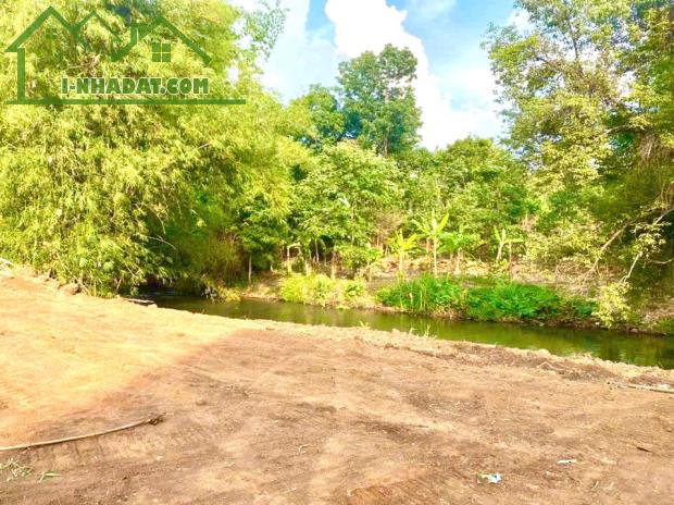 Bán gấp công chứng trước tết (20x36=857m2) 2MT view suối, giá 280 tr/s đối diện trường chợ - 1