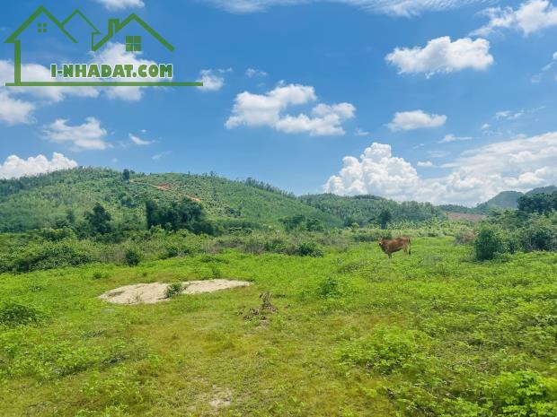 bán đất 1,3 hecta giáp Sông 200m rất đẹp đường oto làm nhà vườn, homestay giá rẻ - 4