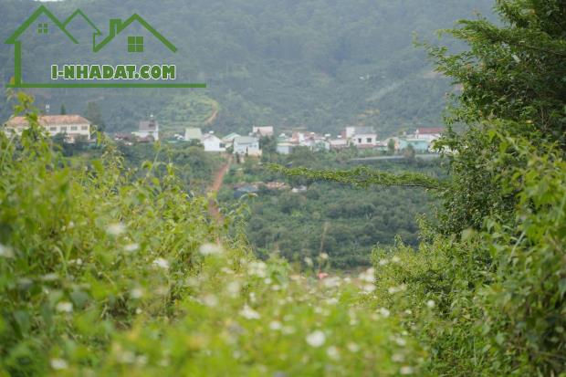 Bán 3000m2 Đất Nông Nghiệp Xuân Trường, Đà Lạt – View Rừng Thông Yên Tĩnh, Giá F0 - 4