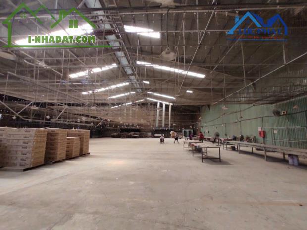 Cho Thuê Nhà Xưởng Sản Xuất Phường TÂN HÒA Gần 2000m2. Giá 60tr/thang - 2