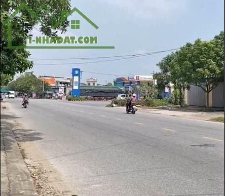 Siêu Phẩm Đất TMDV 7000m² Mặt Đường Thái Bình - Cồn Vành.  Cơ Hội Đầu Tư Sinh Lời Cao! - 2