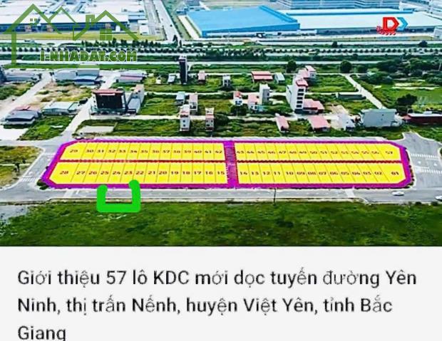 LÔ ĐẤT ĐẤU GIÁ 70 ĐƯỜNG ĐÔI 25m YÊN NINH, THỊ TRẤN NẾNH, VIỆT YÊN BẮC GIANG CHỈ 85tr/m - 1