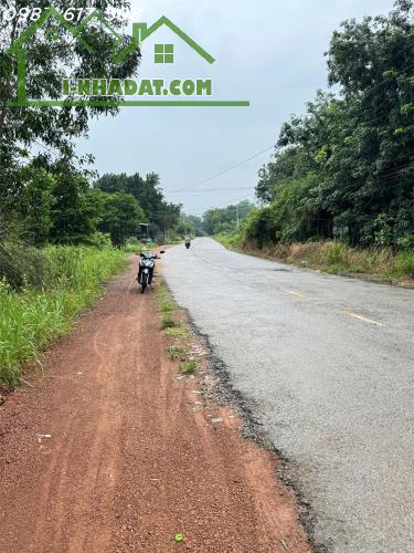 Đất Phân lô làm xưởng Lai Hưng - Bàu Bàng