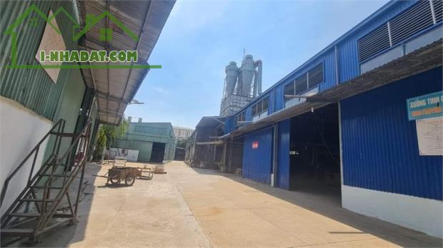 xưởng cho thuê kết cấu kiên cố, tiếp nhận SX gỗ hàng trắng, nội thất xuất nhập khẩu - 4