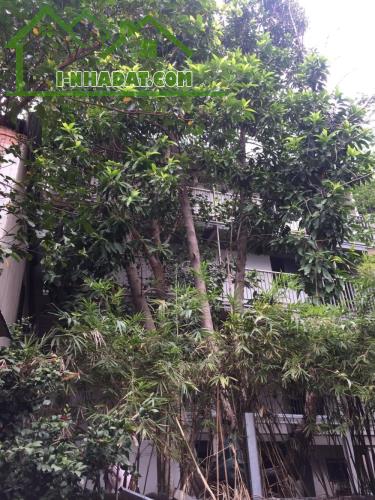 Gấp bán nhà đất Thủ Đức, dt nền 5700m2 chỉ 90 tỷ, Mt Long Thuận, Quận 9(cũ). - 4