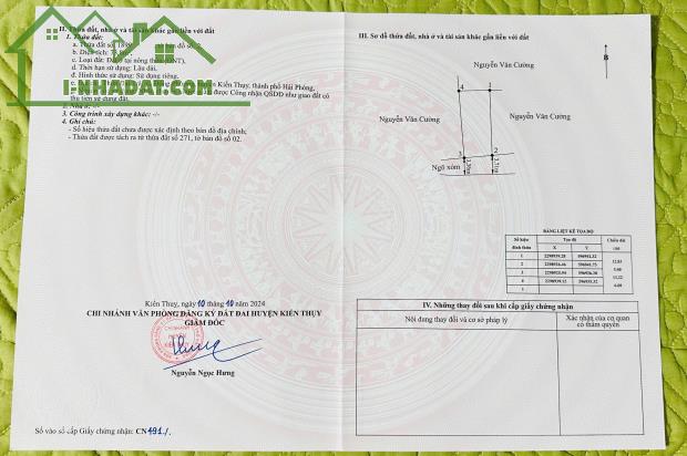 ❌❌❌Mở bán 5 lô Đất giá F0 .Đại Trà, Đông Phương, Kiến Thụy, Hải Phòng gần Dự án Vinhome. - 4