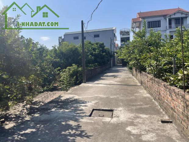 Bán gấp 525m lô góc tổ 4 Cự Khối phù hợp xây xưởng hoặc làm nhà vườn - 3