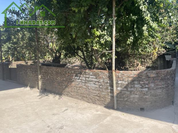 Bán gấp 525m lô góc tổ 4 Cự Khối phù hợp xây xưởng hoặc làm nhà vườn - 2