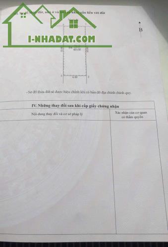 Nhà đẹp đón Tết Kim Mã Thượng, Ba Đình, 6 tầng, thang máy, gara ô tô, 43m, 11.2 tỷ - 3