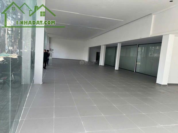 [BÁN Q5] Căn Góc 2 Mặt Tiền Lý Thường Kiệt, Ngang Siêu Lớn 29M, Làm Showroom,P Khám - 3