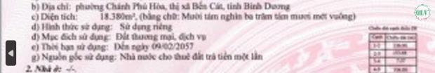 Bán đất mặt tiền diện tích 18.380 m2 tại Chánh Phú Hòa, Bến Cát, Bình Dương - 3