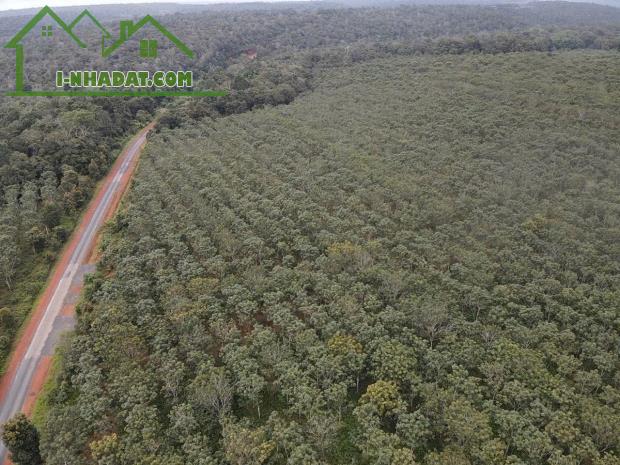 CẦN BÁN ĐẤT KCN ĐỨC HÒA LONG AN