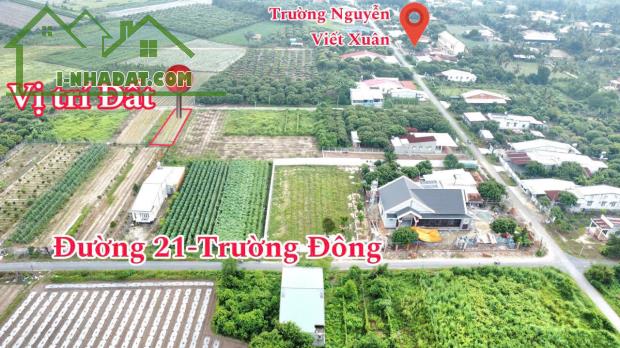 Ngộp đậm sâu đất thị xã Hòa Thành hơn 160m2 full thổ cư sổ đường 10m chỉ 4xxtr - 3