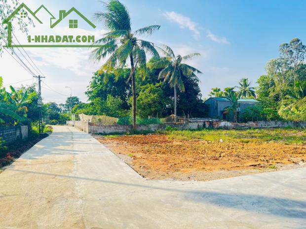 SỞ HỮU NGAY 1 LÔ ĐẤT HƠN 100M2 CỤM CÔNG NGHIỆP TẠI TẾ NÔNG, NÔNG CỐNG THANH HÓA CHỈ TỪ - 4