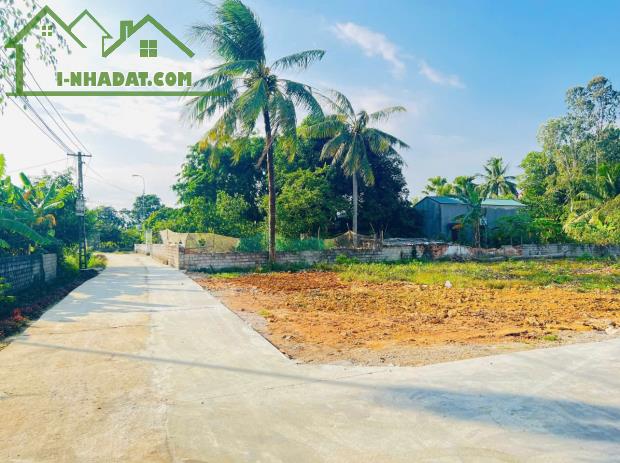 CỰC HÓT - SỞ HỮU NGAY 1 LÔ ĐẤT HƠN 100M2 CỤM CÔNG NGHIỆP TẠI TẾ NÔNG, NÔNG CỐNG THANH HÓA - 4