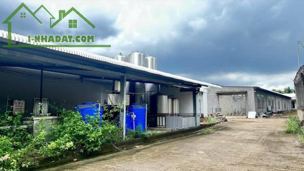 Bán xưởng chế biến Thực Phẩm, Xã Sông Trầu, Trảng Bom, 41000m2, giá 81 tỷ. - 3