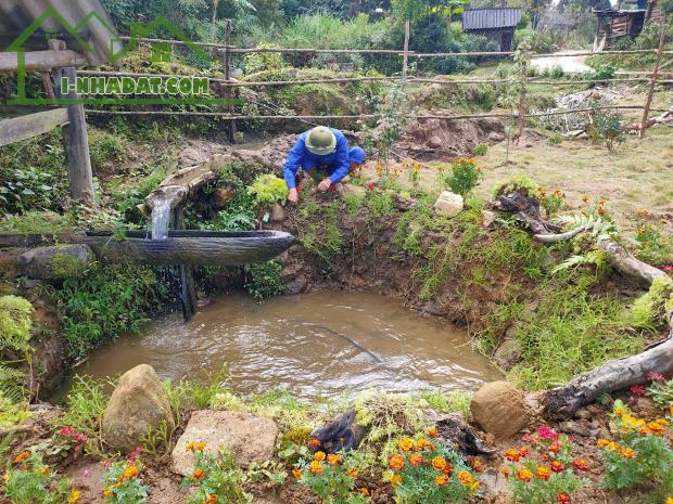 Đất nền săn mây tại trung tâm Y Tý Sapa cần bán cắt lỗ. - 1