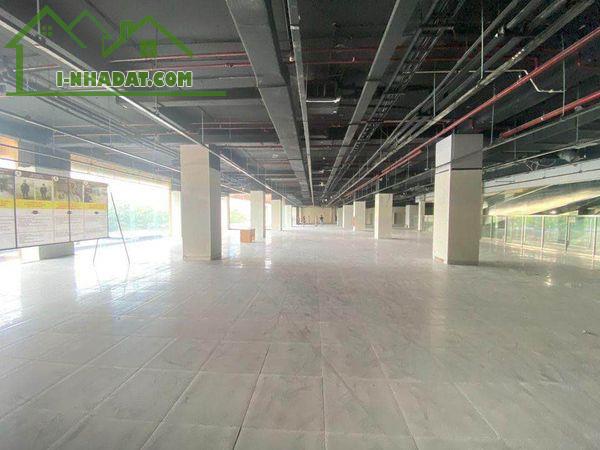 Chính chủ cho thuê 5.000m2 sàn TM văn phòng Mipec 229 Tây Sơn, Đống Đa, HN - 3