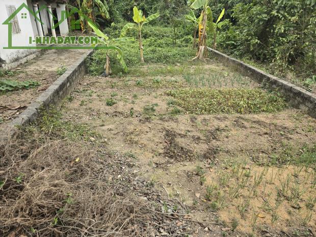 GẤP ..CẦN BÁN 150M2 FUN THỔ. GIÁP TRỤC AFFAN THÔN TIẾN TIÊN -XÃ TÂN TIẾN-CHƯƠNG MỸ GIÁ NHỈ - 1