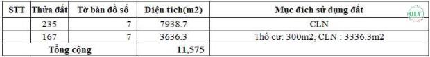 Cơ hội đầu tư hấp dẫn bán đất nhà xưởng diện tích 98.280 m2 kcn Nhơn Trạch, Đồng Nai - 2