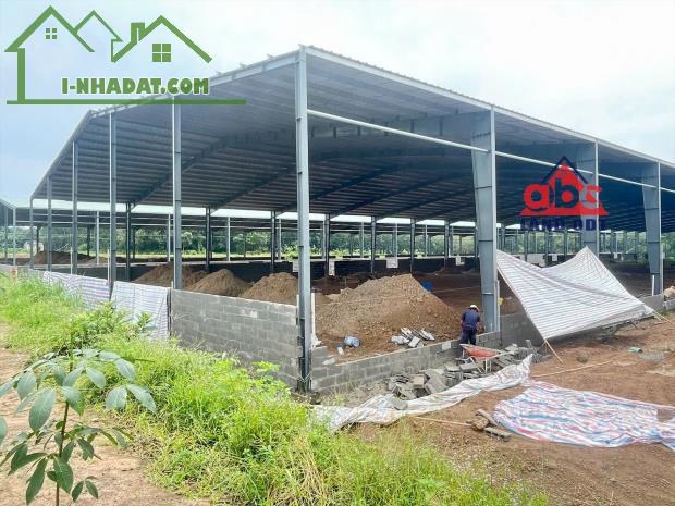 Bán nhà xưởng đang hòan thiện, Phú Giáo, Bình Dương, 31952m2, giá 80 tỷ.