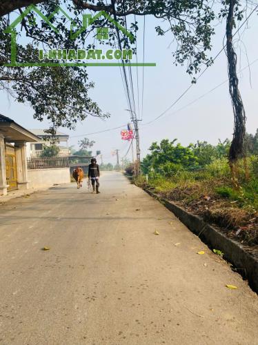 Bán đất rộng tại thôn Láng, Kim Long, Tam Dương, Vĩnh Phúc - 1